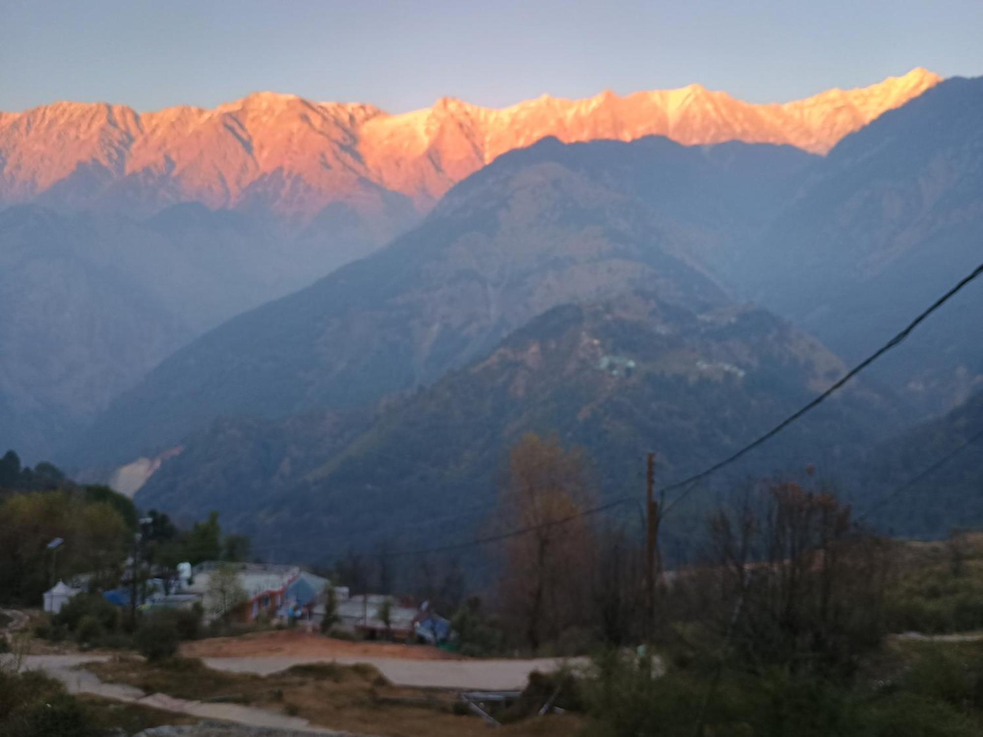 Mcleodganj Diaries Guest House Dharamshala Eksteriør bilde